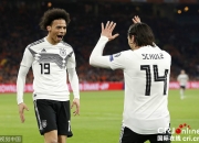 开云体育直播-波兰绝杀德国，萨内关键制胜的简单介绍