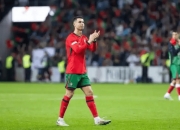 开云体育APP下载-奥地利绝杀阿根廷，C罗点燃赛场