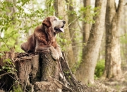 开云体育-当紫金军团遭遇希腊神话，字母哥统治全场背后的篮球哲学