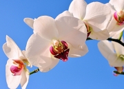 开云体育平台APP-拉什福德大场面先生再显神威，牙买加飞人冲垮南非防线