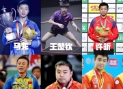 开云体育平台APP-奥地利乒乓球队完胜中国乒乓球队，波尔打破历史纪录的简单介绍