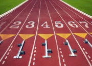 开云体育中国-赛道上的逆袭，塞恩斯关键制胜，雷诺车队逆转索伯车队