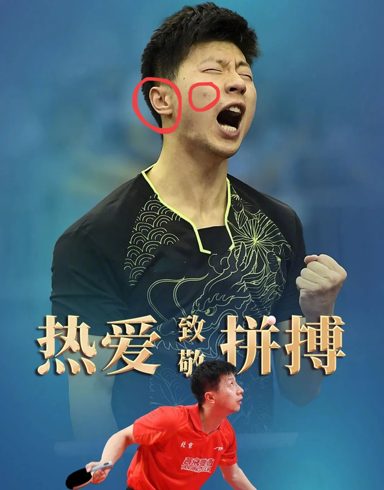 关于日本乒乓球队险胜比利时乒乓球队,马龙绝境逆转的信息 关于日本乒乓球队险胜比利时乒乓球队,马龙绝境逆转的信息