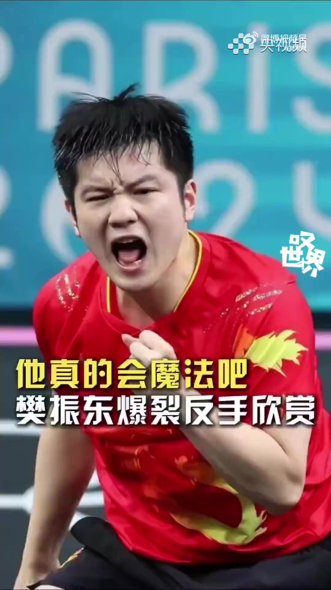 关于中国乒乓球队绝地反击法国乒乓球队,樊振东制霸全场的信息 关于中国乒乓球队绝地反击法国乒乓球队,樊振东制霸全场的信息