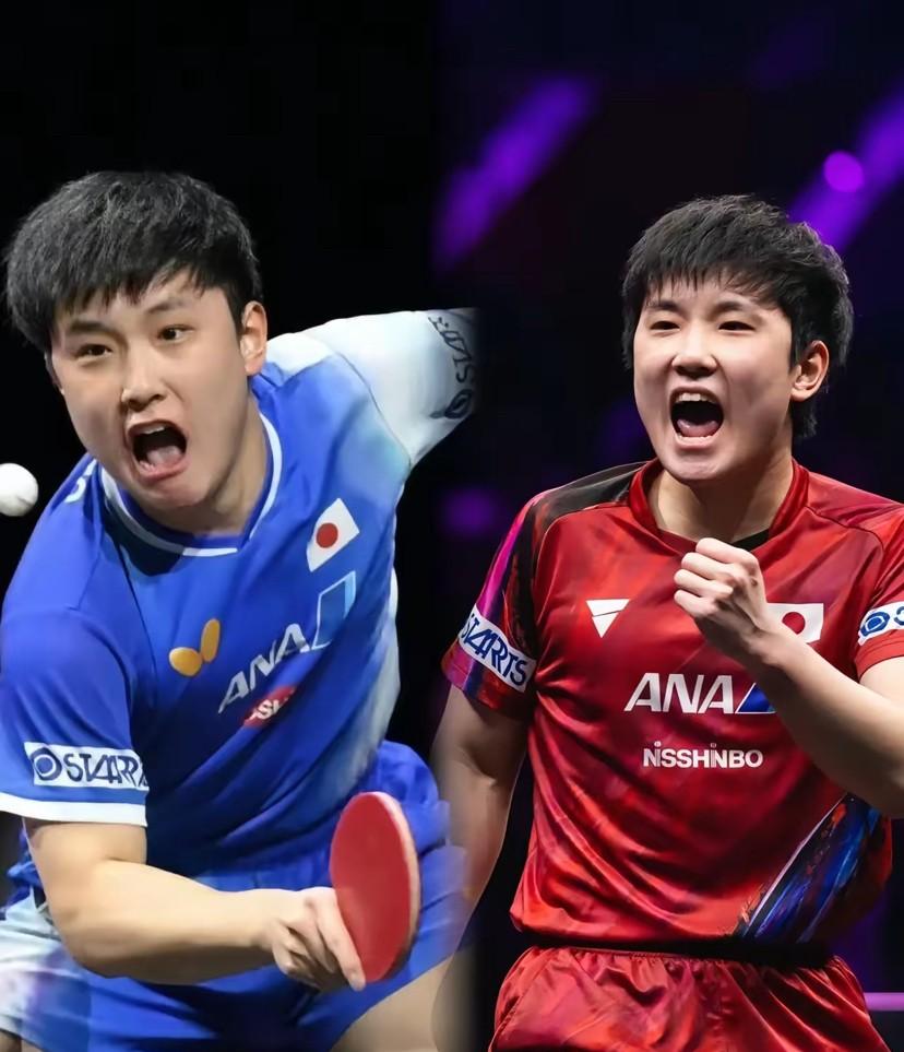 关于日本乒乓球队碾压韩国乒乓球队，张本智和打破历史纪录的信息
