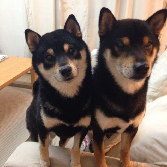 欧冠决赛之夜,小贾伦冠军级表现