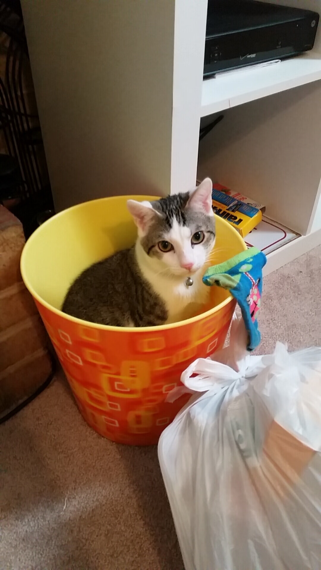 鹈鹕加时险胜吉林,西亚卡姆德甲争冠战独揽乾坤,跨越篮球世界的胜利交响